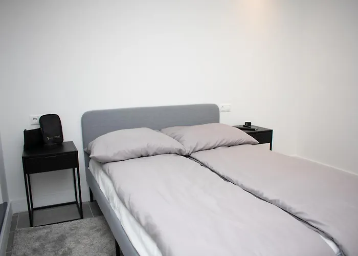 Luxury Cozy 2 Bdr Downtown Apt.4 *