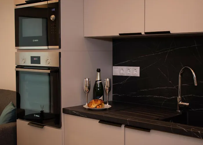 Luxury Cozy 2 Bdr Downtown Apt.4