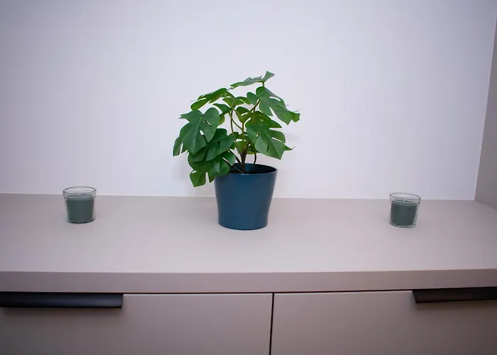 Luxury Cozy 2 Bdr Downtown Apt.4 *