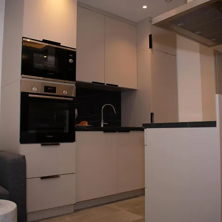 Luxury Cozy 2 Bdr Downtown Apt.4 *