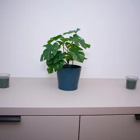 Luxury Cozy 2 Bdr Downtown Apt.4 *