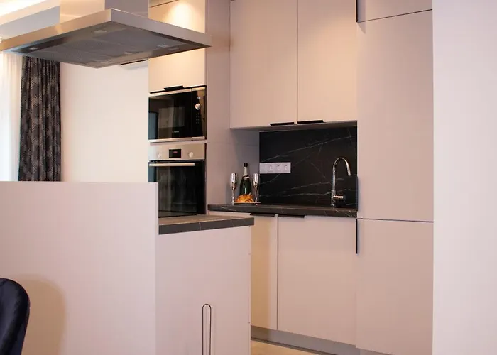 Apartament Luxury Cozy 2 Bdr Downtown Apt.4 *