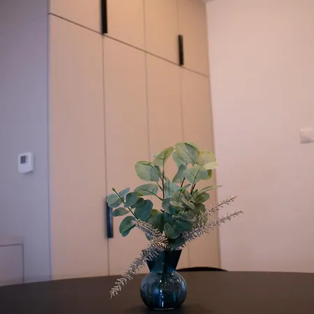 Luxury Cozy 2 Bdr Downtown Apt.4 Budapeste