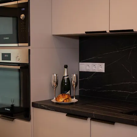 Luxury Cozy 2 Bdr Downtown Apt.4