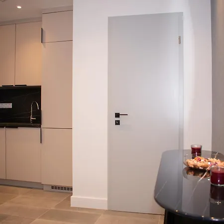 Luxury Cozy 2 Bdr Downtown Apt.4 *