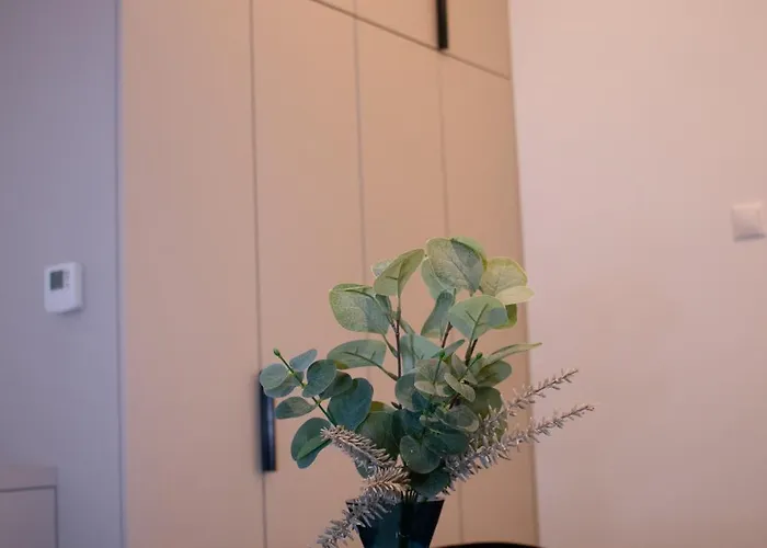 Luxury Cozy 2 Bdr Downtown Apt.4 Budapest