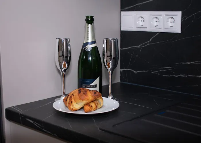 Luxury Cozy 2 Bdr Downtown Apt.4 Apartment